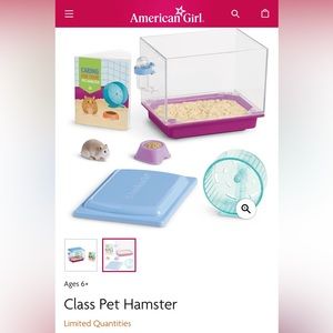 American Girl Doll Class Pet Hamster